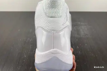 Retro Jordan 408201-101 11 'Silver Anniversary' Air 0510
